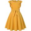 imageQuedoris Girls Ruffle Trim Dress Print and Solid Color Aline Swing Flared Belted Casual Party Dress with ZipperGinger
