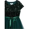imageSpeechless Girls Short Sleeve Sequin Bodice Tulle Skirt Party Dress with Hanky HemHunter Green