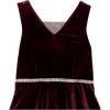 imageSpeechless Girls Sleeveless Layered Party DressBurgundy Velvet