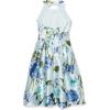 image:imageSpeechless Girls Sleeveless Halter Neck Mikado DressMintFloral